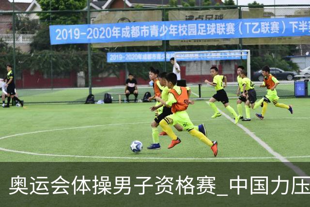 奥运会体操男子资格赛 中国力压日本排名第一晋级